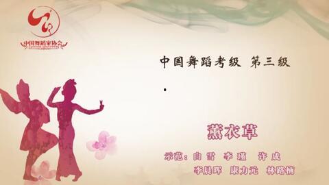 三级国产小视频,展现本土文化魅力,引领潮流风向标